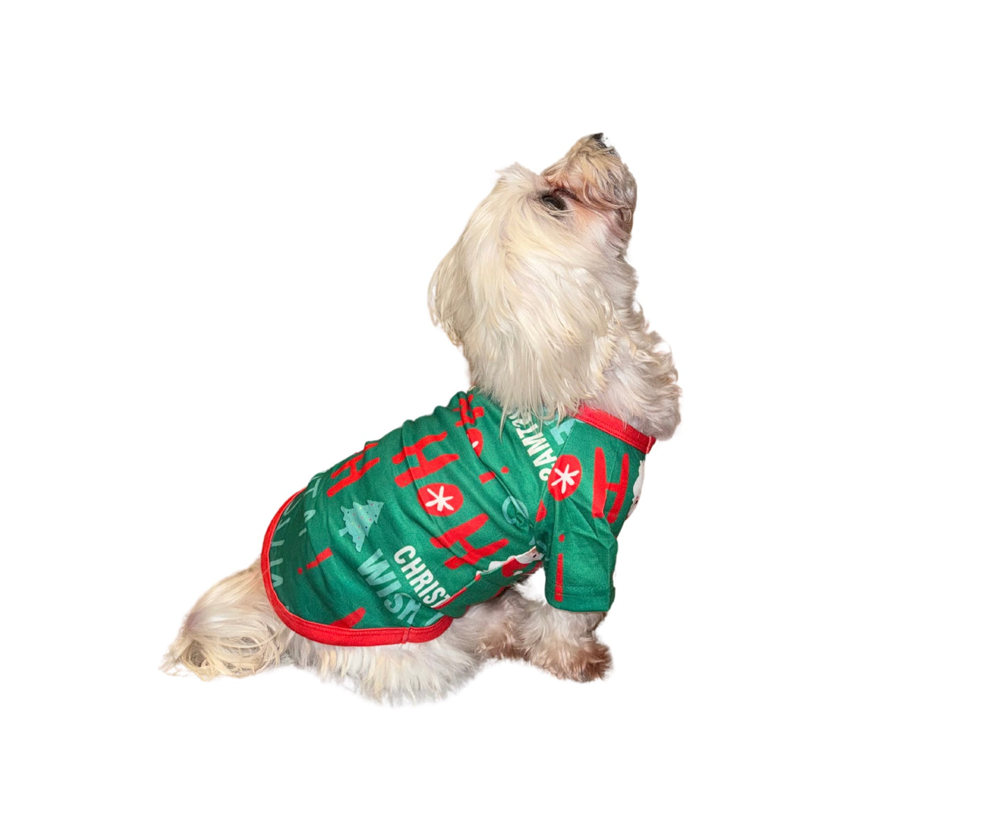 Christmas Family Matching Pajama Sets, Assorted Prints, Soft Fabric (US, Alpha, S, Green HoHo Santa)