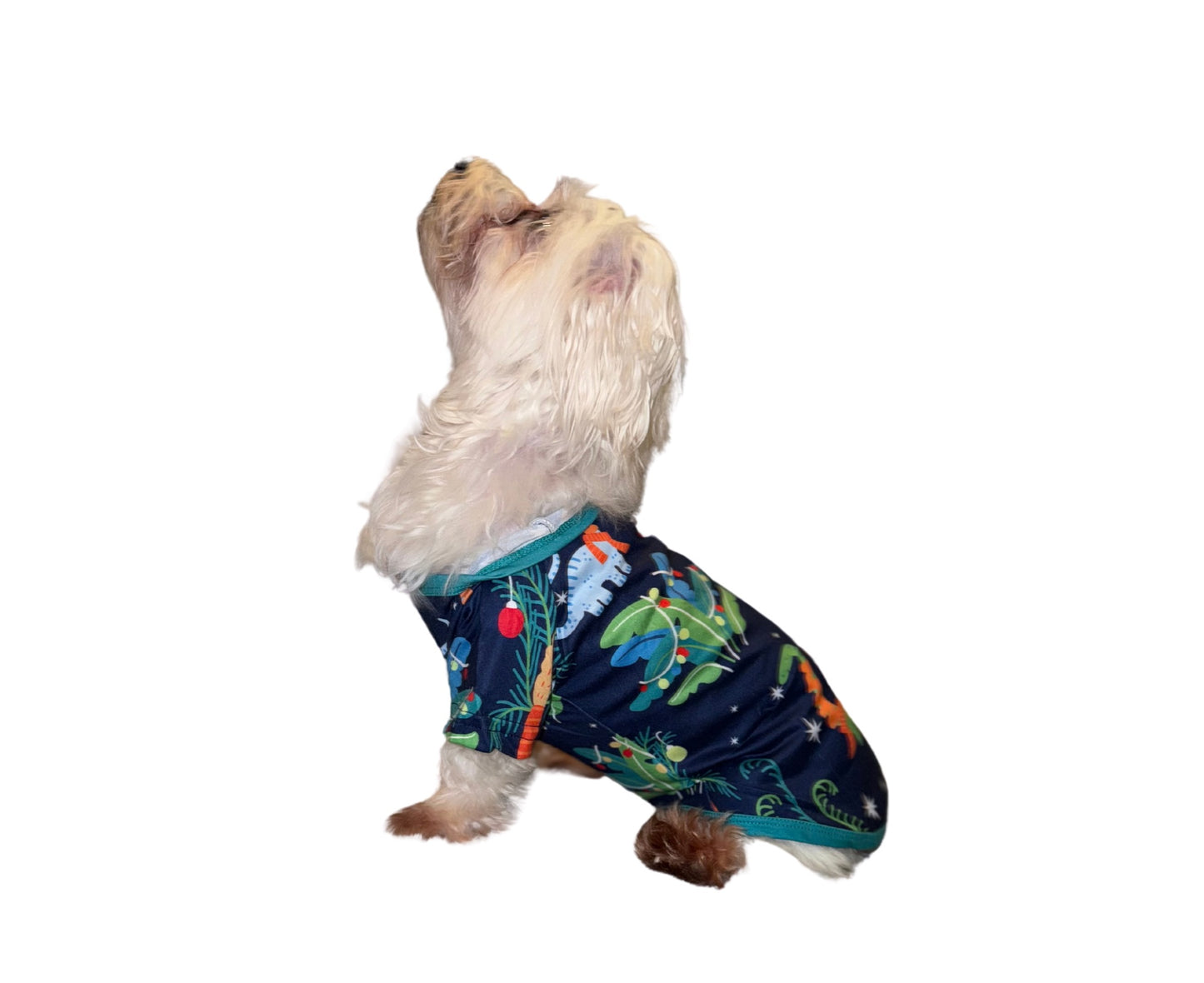 Christmas Family Matching Pajama Sets, Assorted Prints, Soft Fabric