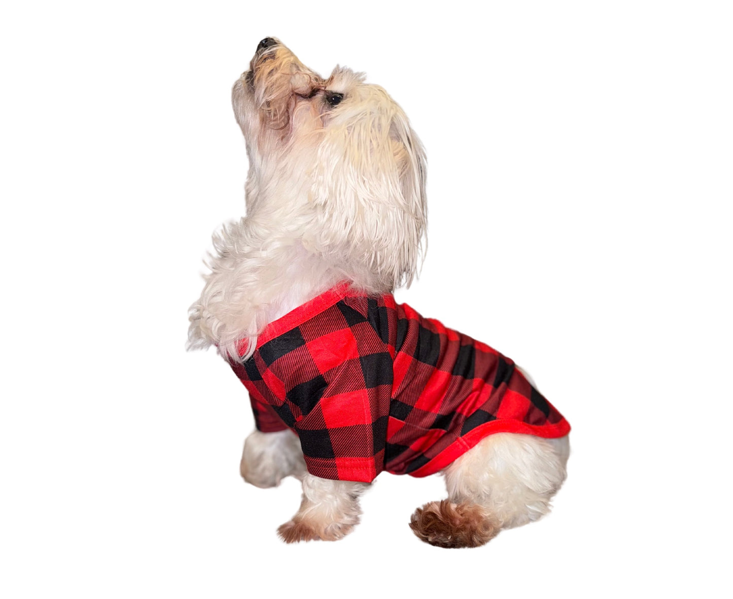 Christmas Family Matching Pajama Sets, Pets, Assorted Prints, Soft Fabric