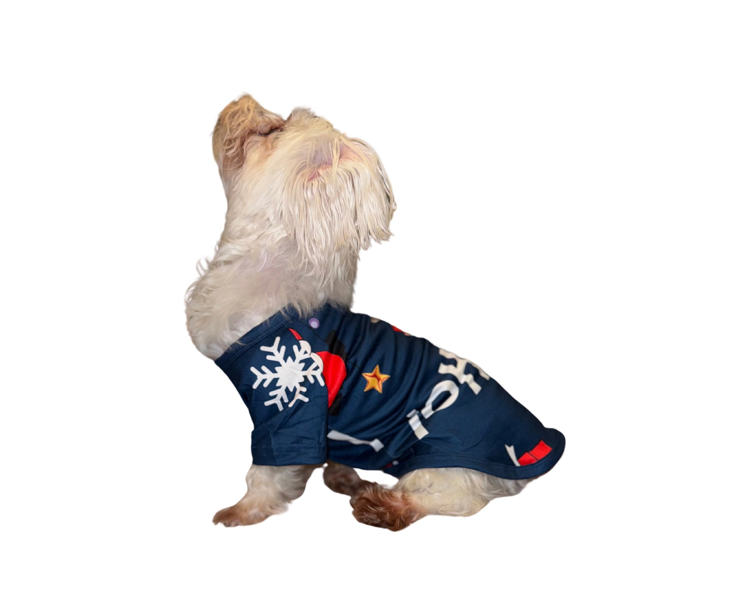 Christmas Family Matching Pajama Sets, Assorted Prints, Soft Fabric